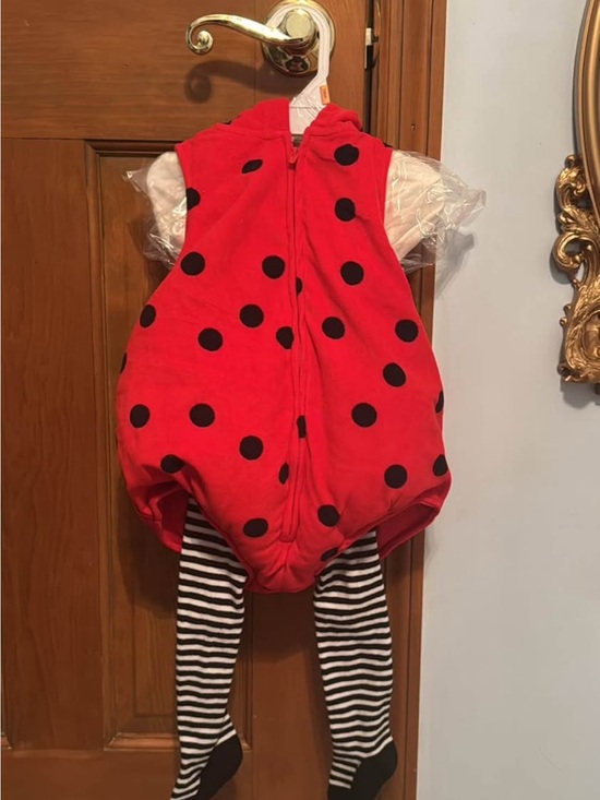 Other - Red Ladybug Polka Dot Costume with Striped Tights